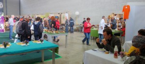 DSC07747