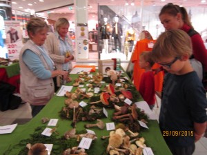 IMG_0258