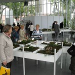 Rastava gob na sejmu Narava-Zdravje GR