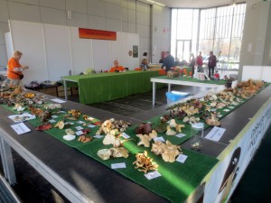IMG_7906