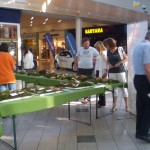 Razstava gob v Mercator centru