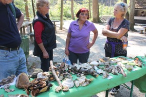 nevenka 2015 september 103