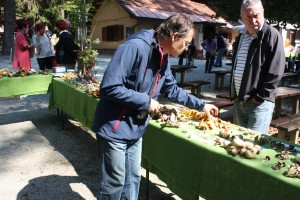 nevenka 2015 september 105