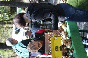 nevenka 2015 september 109