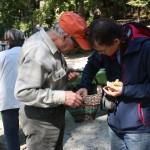 nevenka 2015 september 110