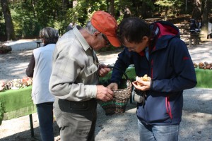 nevenka 2015 september 110