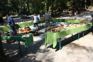nevenka 2015 september 111