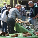 nevenka 2015 september 117