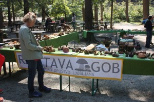 nevenka 2015 september 118